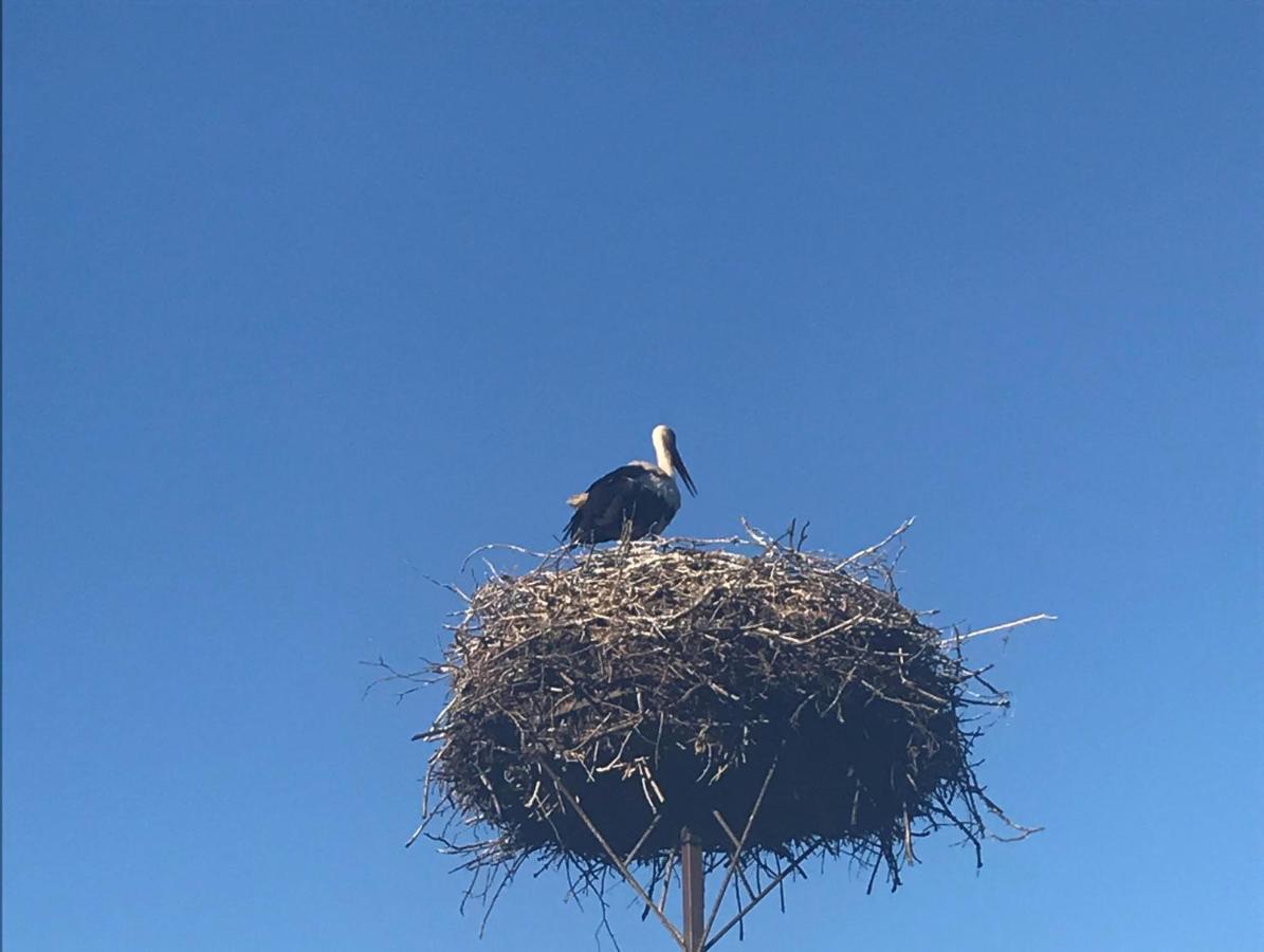 Gosciniec Twoje Mazury Nad Jeziorem Sniardwy Tuz Obok Plazy Нове-Ґути Екстер'єр фото